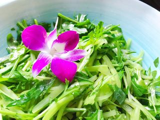 16、莴笋黄瓜芝麻菜,对身体健康有益