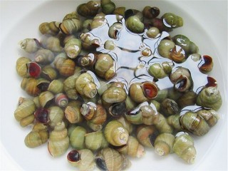 1、开胃麻辣螺蛳,螺蛳先用清水冲洗干净