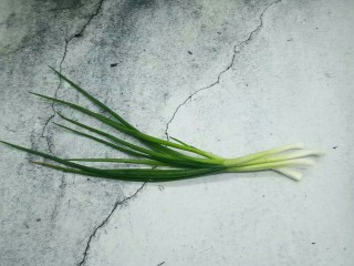 4、麻辣小龙虾,小葱一把，