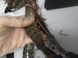 10、蒜茸香草虾,剪掉长须