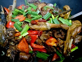 15、啤酒鸭,最后关火下蒜苗翻炒均匀出锅。