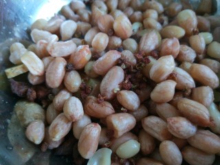 10、新文美食 素什锦,在加入适量花椒搅拌均匀淹制。