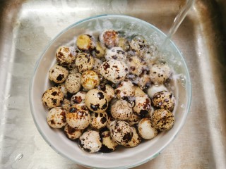 4、五香鹌鹑蛋,煮好的鹌鹑蛋捞出过凉水