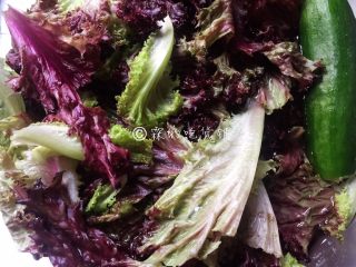 7、香煎巴沙鱼南瓜藜麦沙拉,生菜和黄瓜洗净后，用纯净水浸泡一会儿。