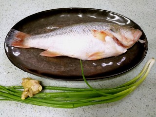 1、粤式清蒸鲈鱼,准备好材料。