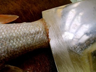 2、粤式清蒸鲈鱼,鱼档老板一般会帮忙杀好鱼，取回来以后还是要仔细处理一下。特别是边角位置的鱼鳞，要进一步刮干净。