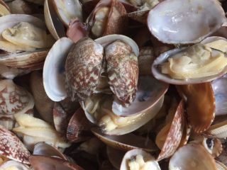 4、蛤蜊蒸蛋,蛤蜊全开之后立马打捞起来放入篮子，防止肉质变老