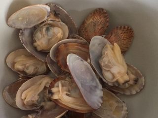 7、蛤蜊蒸蛋,洗干净放入碗中备用