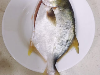 4、清蒸白鲳鱼,腌好后去掉姜丝和多余的料酒。两面抹上花生油。