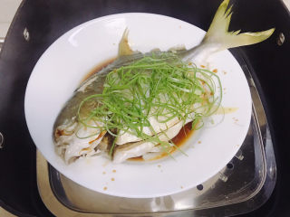 8、清蒸白鲳鱼,放上葱丝