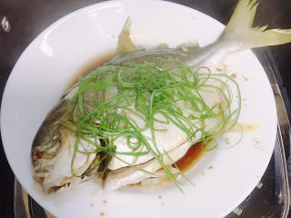 9、清蒸白鲳鱼,烧适量的热油淋到上面。