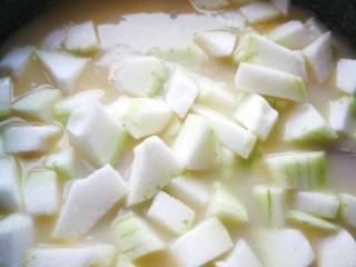 7、排骨冬瓜汤,放入冬瓜块,继续炖约15~20分钟左右,保持中火就好了