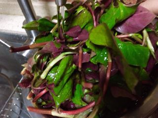 5、春季野菜~开胃酸辣折耳根（叶）,放入一个稍大的碗里