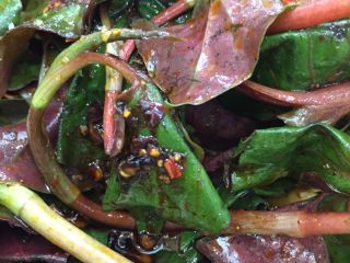 14、春季野菜~开胃酸辣折耳根（叶）,装盘，酸辣爽口，一口一新鲜，爱吃这味道的就会知道多美味