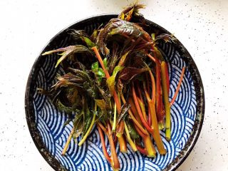 4、鲍鱼干贝XO酱拌香椿皮蛋豆腐,香椿摘洗干净