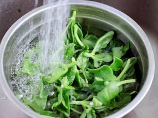 2、三七叶凉拌花生米,三七叶去除老叶后，清水里加入少许小苏打浸泡10分钟后，用清水冲洗干净沥干水分备用。