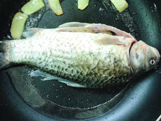 5、奶白鲫鱼豆腐汤,将鲫鱼放入锅中。