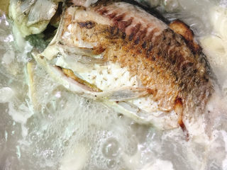 10、奶白鲫鱼豆腐汤,转中火盖上锅盖熬20分钟。