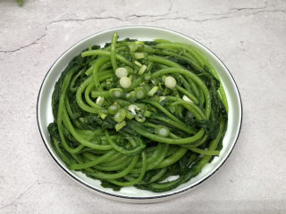 8、蒜泥茼蒿,控水后放入盘中，放入葱花