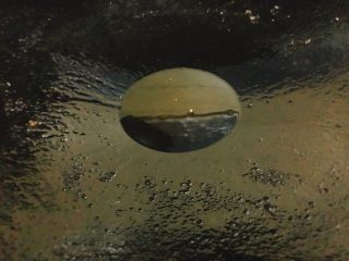 10、香脆芝麻辣子鸡,锅内留少许油，中火加至7成热，