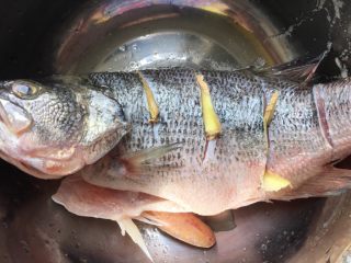 3、清蒸鲈鱼,放入生姜，盐，料酒腌制