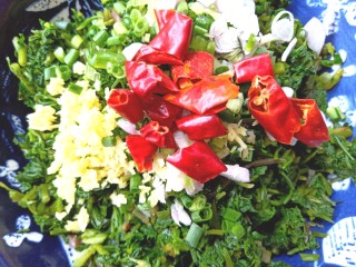 10、#爽口凉菜#凉拌野菜水芹菜,放干辣椒段