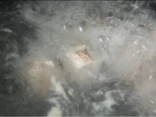 1、糖醋排骨,排骨焯水后小火煮30分钟