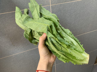 1、蚝油油麦菜,油麦菜一棵