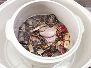 5、海参虫草炖水鸭【内附海参泡发方法】,加入纯净水5饭碗，盖上盅盖。