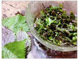 1、紫苏豆豉蒸草鱼,紫苏洗净切丝