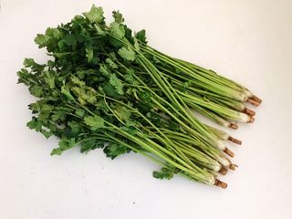 1、凉拌香菜根,粗根香菜300克