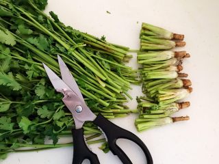 2、凉拌香菜根,把香菜根剪下来，大约6㎝长