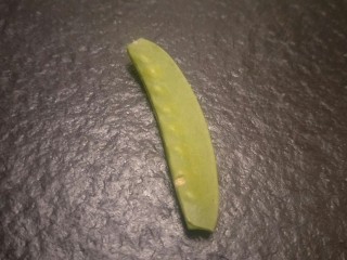 2、香肠炒荷兰豆,剥成上面这样两边去头，剥两边的筋。