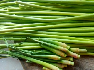 3、绿色美食＋蒜苔炒肉丝,这是蒜苔尾部，一定要减掉。