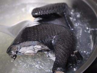 9、当归乌鸡汤,焯水后撇去浮沫捞出