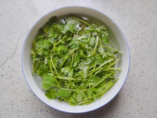 8、手撕鸡胸肉,香菜摘洗干净之后用饮用水浸泡备用