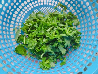 11、手撕鸡胸肉,香菜切碎，控干水分