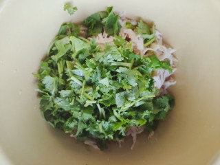 12、手撕鸡胸肉,将香菜倒入鸡胸肉内
