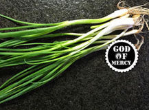 5、炒猪腰花怎么做才能去腥臊味？ ,准备小葱一支。