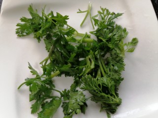 9、凉拌鸡胗,将香菜洗干净切成小段