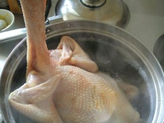 3、粵菜经典【白切鸡】 泡鸡秘诀保证肉质嫩滑,用手抓着鸡头，水开了以后把鸡放进去。