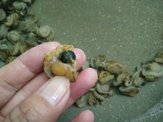 2、芹菜炒全贝干,用热水浸泡半小时