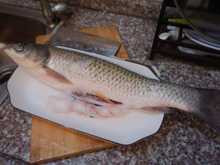 2、红烧草鱼,里里外外洗干净