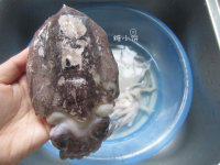 1、酱爆墨鱼卷儿,墨鱼洗净