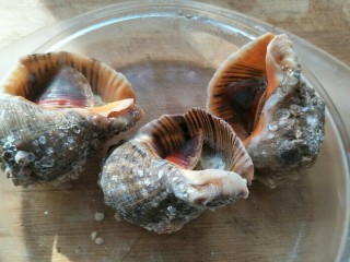 12、香鲜拌螺肉,把海螺捞出放凉，用筷子挑出来螺肉。