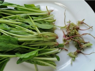 2、菠菜拌花生米,切除菠菜根部
