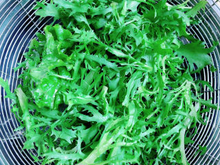 1、凉拌魔芋丝,准备好苦菊，洗净待用。