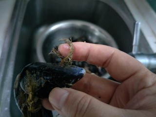 2、原汁贻贝,把海红连接肉里的这个摘掉。