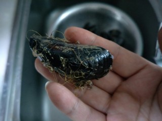 3、原汁贻贝,这样子就可以了。