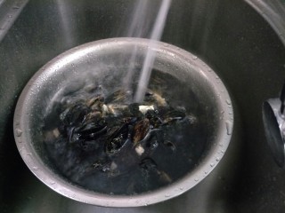 8、原汁贻贝,继续加水同上反复搓洗。